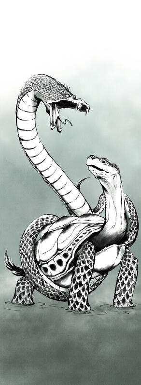 Black Tortoise Chinese Mythology